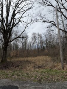 Property photo for land for sale in Benton County Tennessee