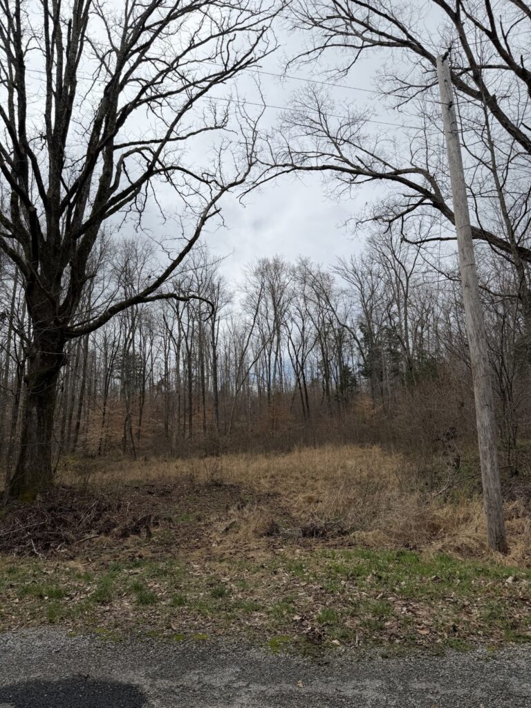 Property photo for land for sale in Benton County Tennessee