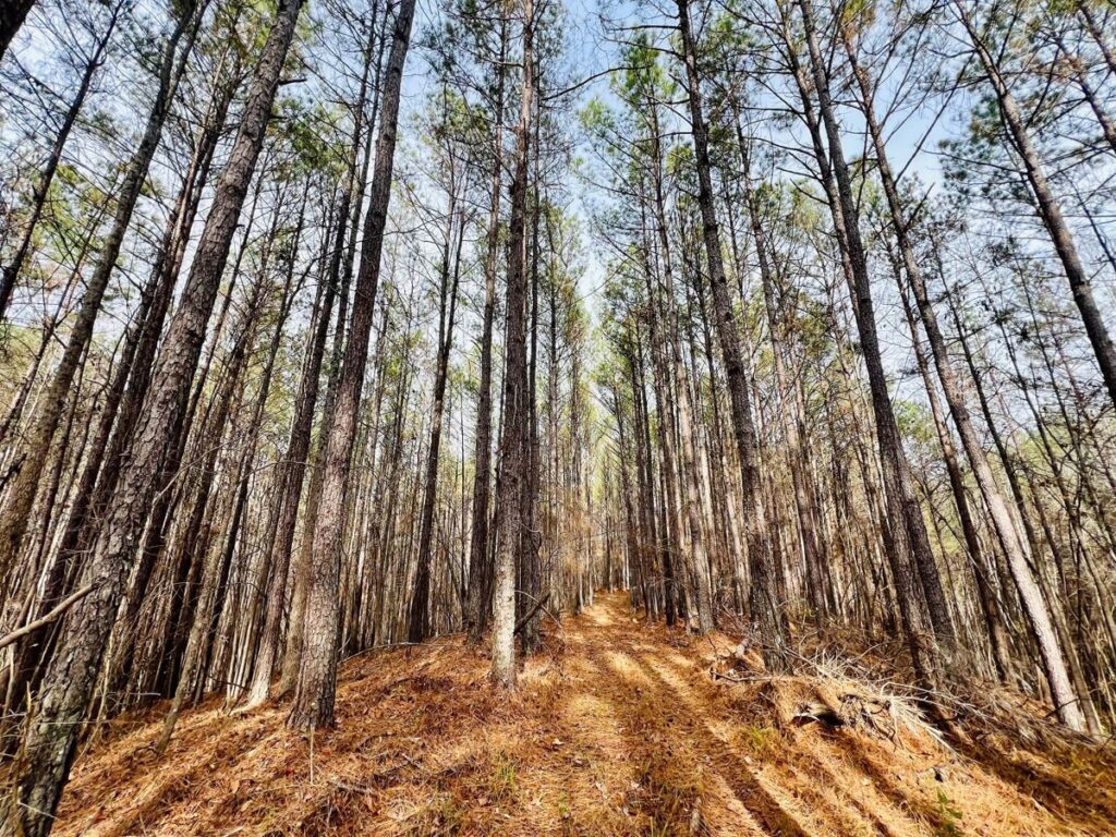 40d7d0a2-dc63-4874-acea-f682ccc85fb7