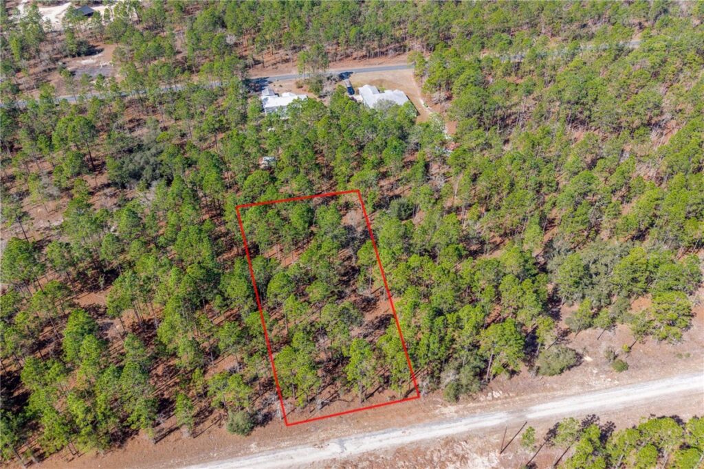 Property photo for land for sale in Levy County Florida