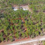 Property photo for land for sale in Levy County Florida