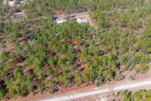 Property photo for land for sale in Levy County Florida