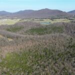 Property photo for land for sale in Newton County Arkansas