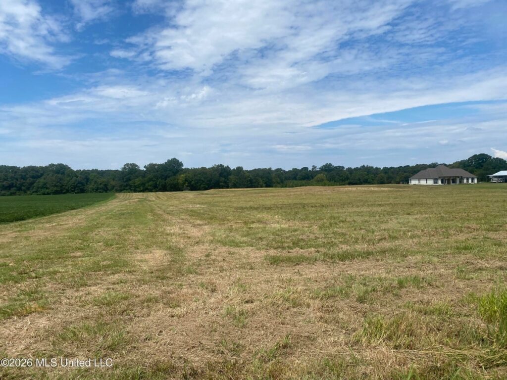 Property photo for land for sale in Rankin County Mississippi