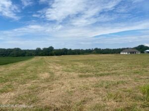 Property photo for land for sale in Rankin County Mississippi