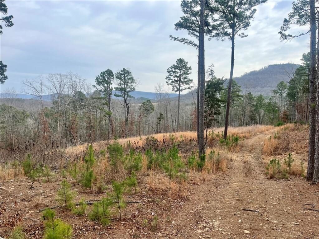 Property photo for land for sale in Newton County Arkansas