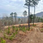 Property photo for land for sale in Newton County Arkansas