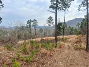 Property photo for land for sale in Newton County Arkansas
