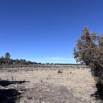 Property photo for land for sale in Rio Arriba County New Mexico