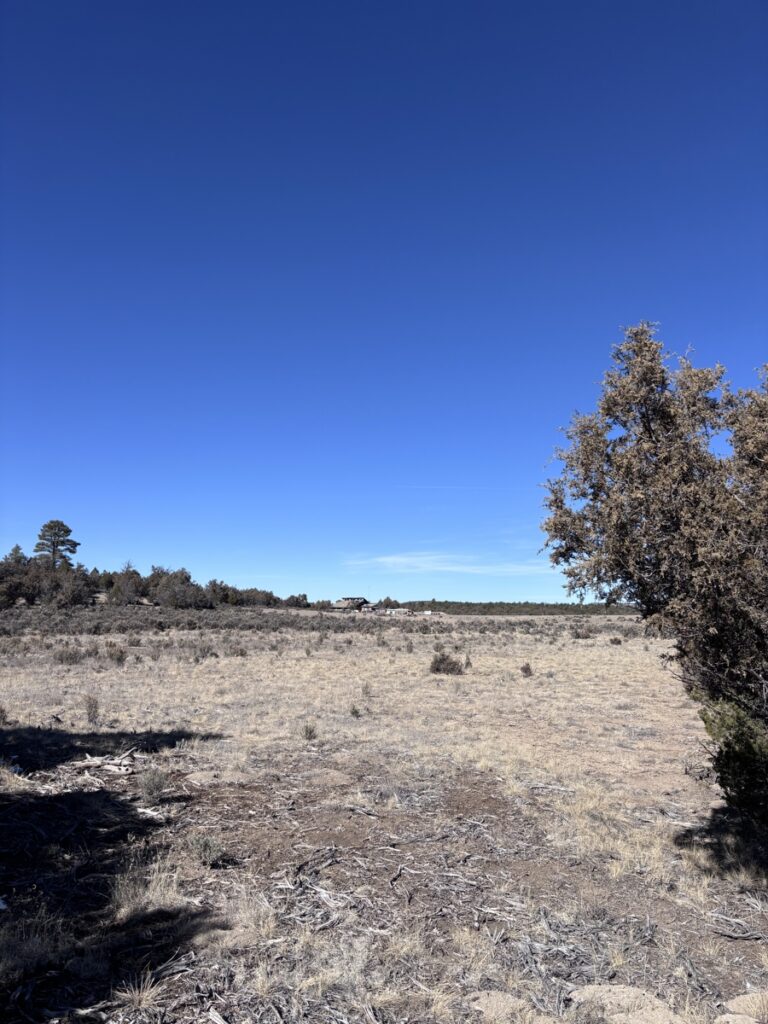 Property photo for land for sale in Rio Arriba County New Mexico