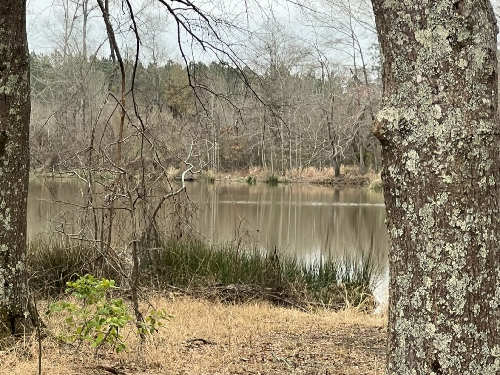 Property photo for land for sale in Columbia County Arkansas