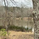 Property photo for land for sale in Columbia County Arkansas