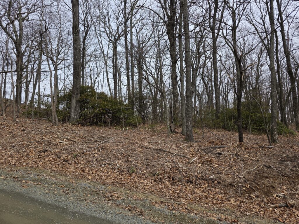 Property photo for land for sale in Patrick County Virginia