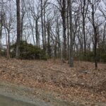 Property photo for land for sale in Patrick County Virginia