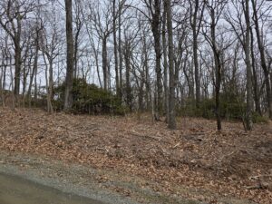 Property photo for land for sale in Patrick County Virginia