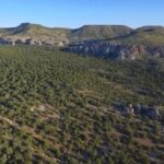 Property photo for land for sale in Mohave County Arizona
