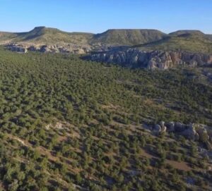 Property photo for land for sale in Mohave County Arizona