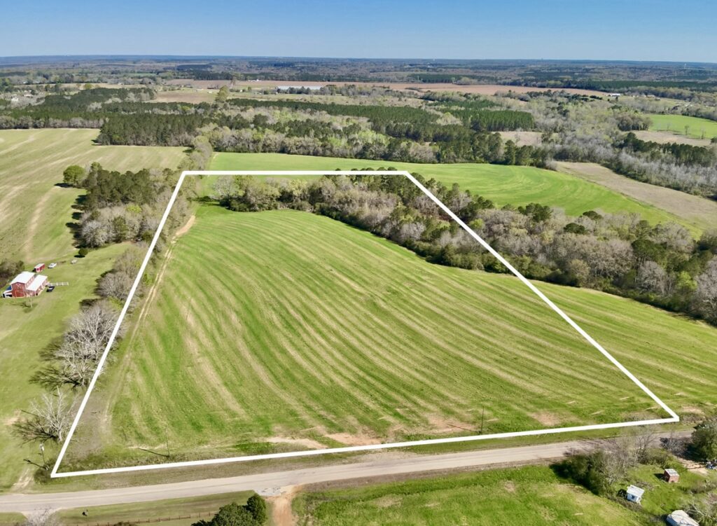 Property photo for land for sale in Geneva County Alabama