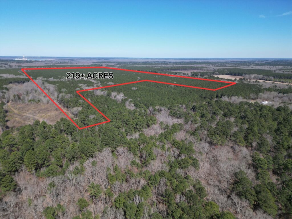 Property photo for land for sale in Cass County Texas