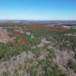 Property photo for land for sale in Cass County Texas