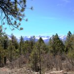 Property photo for land for sale in Ouray County Colorado