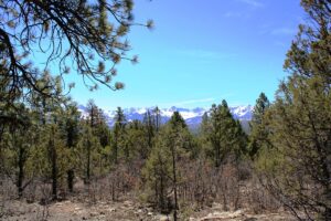 Property photo for land for sale in Ouray County Colorado