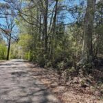Property photo for land for sale in Lincoln County Mississippi