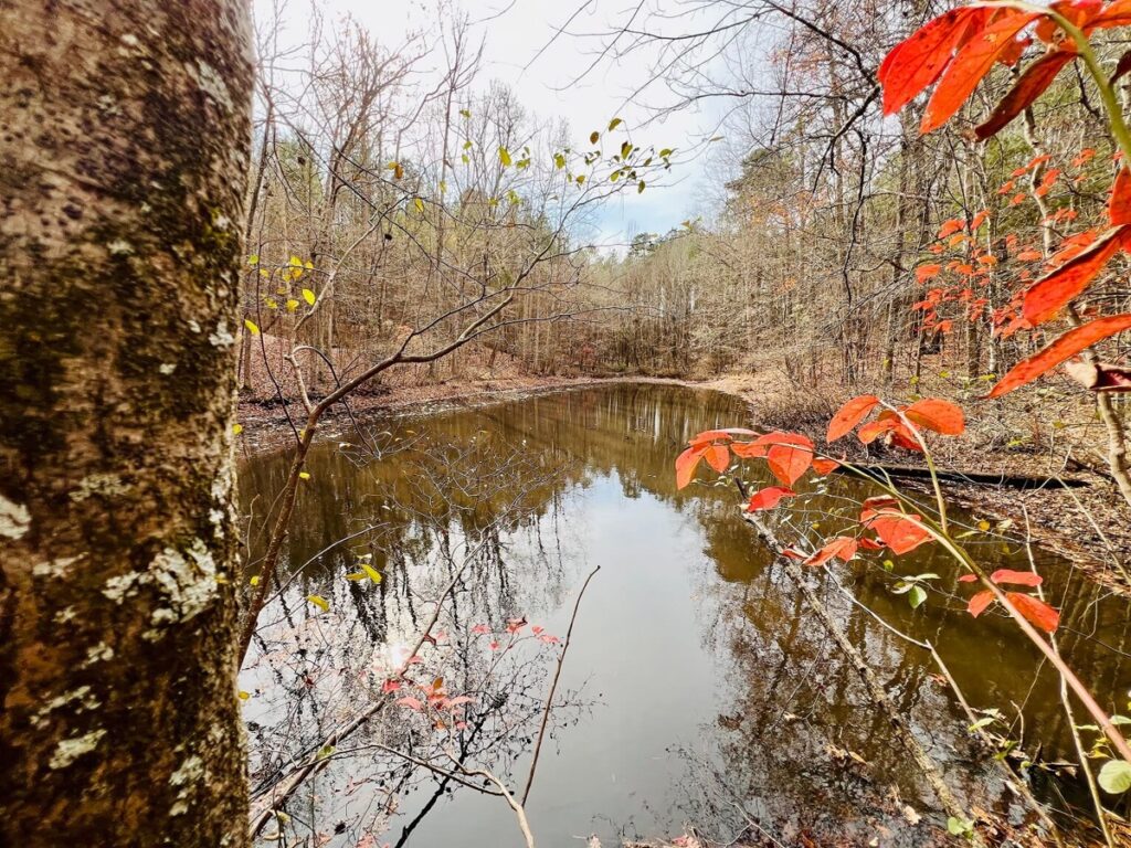 Property photo for land for sale in Prentiss County Mississippi