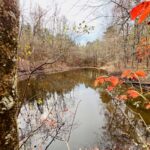 Property photo for land for sale in Prentiss County Mississippi