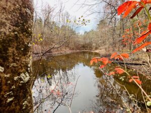 Property photo for land for sale in Prentiss County Mississippi