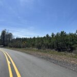 Property photo for land for sale in Drew County Arkansas