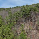 Property photo for land for sale in Latimer County Oklahoma