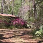 Property photo for land for sale in Dixie County Florida