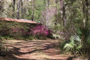 Property photo for land for sale in Dixie County Florida