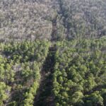 Property photo for land for sale in Latimer County Oklahoma