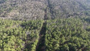 Property photo for land for sale in Latimer County Oklahoma