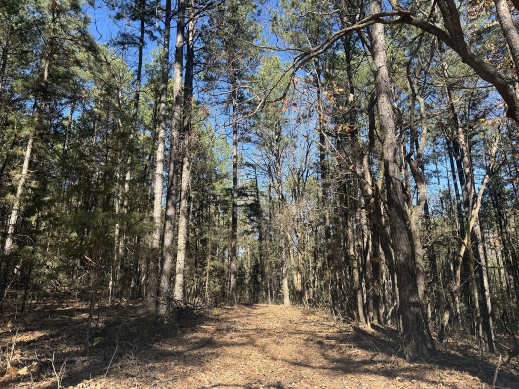 Property photo for land for sale in Izard County Arkansas