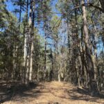 Property photo for land for sale in Izard County Arkansas