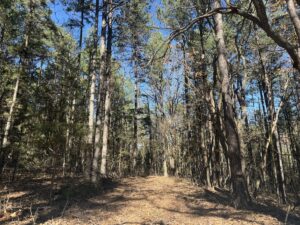 Property photo for land for sale in Izard County Arkansas