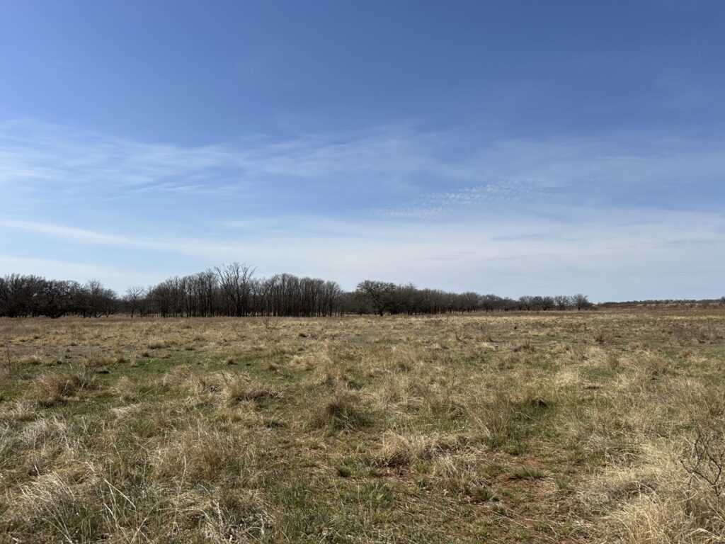 Property photo for land for sale in Greer County Oklahoma