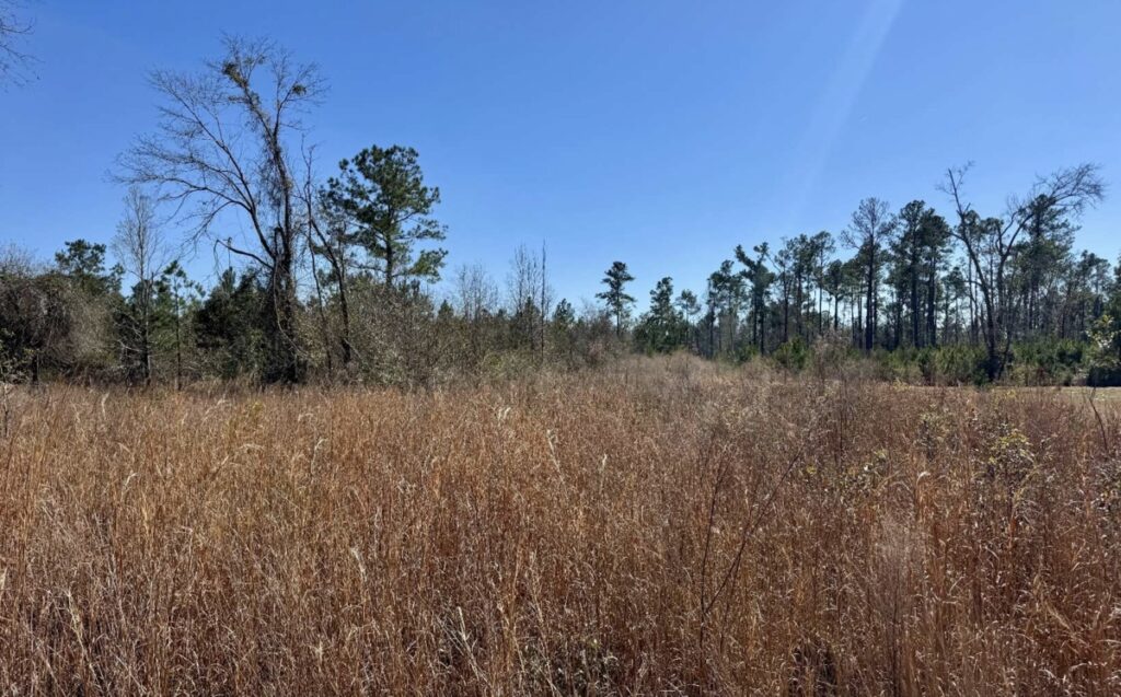 Property photo for land for sale in Hamilton County Florida