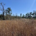 Property photo for land for sale in Hamilton County Florida
