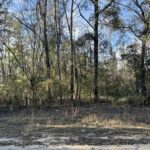 Property photo for land for sale in Hamilton County Florida