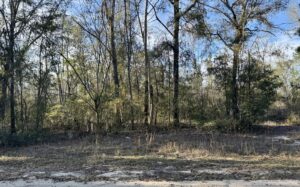 Property photo for land for sale in Hamilton County Florida