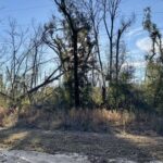 Property photo for land for sale in Hamilton County Florida