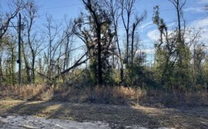 Property photo for land for sale in Hamilton County Florida