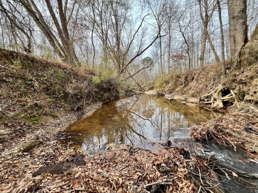 64b943cb-fac6-4237-9fc4-4f7520567ed1