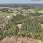 Property photo for land for sale in Geneva County Alabama