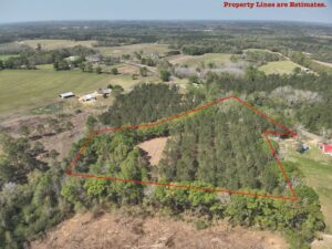 Property photo for land for sale in Geneva County Alabama