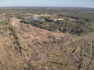 Property photo for land for sale in Calhoun County Arkansas